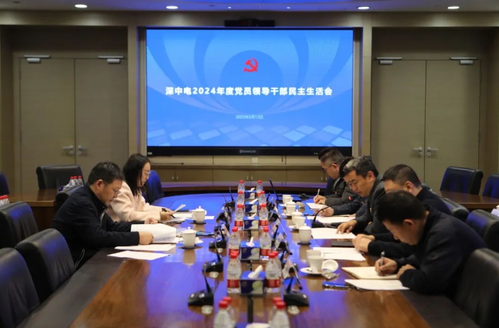 强化政治担当 涵养政治生态 | 深中电党委召开2024年度民主生活会