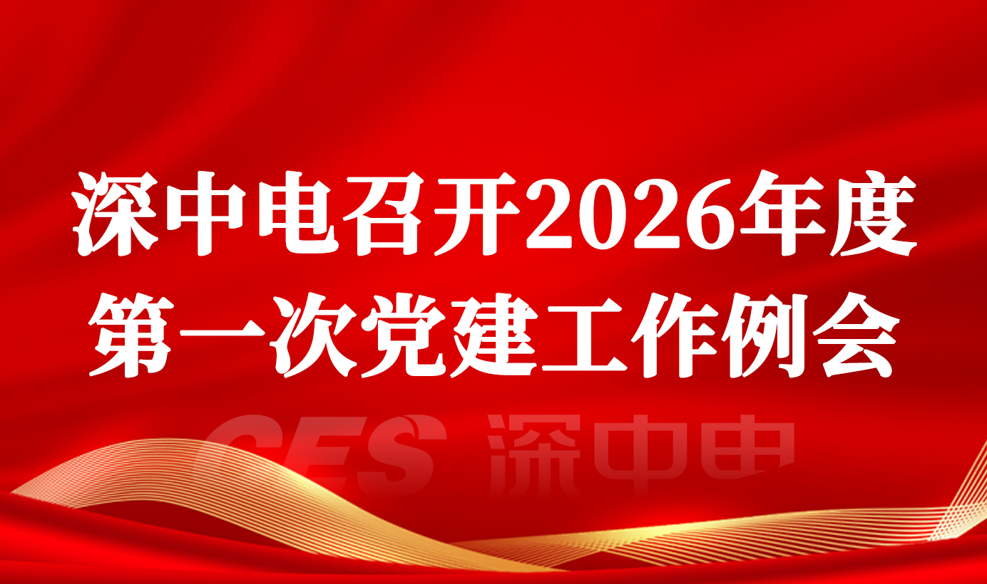 深中电召开2026年度第一次党建工作例会